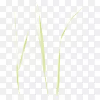 �ݱ�ֲ�ﾥ-������