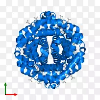 字体珠宝人体.生物分子亚基-空若网 字体珠宝人体.生物分子亚基-空若网