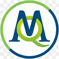 Maxqda Nvivo Dedoose�������ݷ���-������