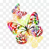 ����������ͼ-������