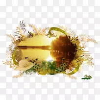 桌面壁纸电脑-秋季早晨-空若网 桌面壁纸电脑-秋季早晨-空若网