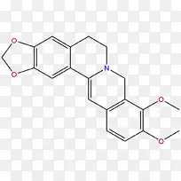 �������׼�øϸ��VE-cadherin abt-737С����-���-������