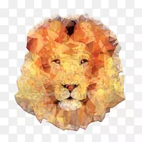 狮子笔记本橙色S.A.袖T恤-空若网 狮子笔记本橙色S.A.袖T恤-空若网