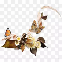 中心博客图片png图片摄影创意静物装饰-空若网 中心博客图片png图片摄影创意静物装饰-空若网