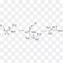 产品设计点树-空若网 产品设计点树-空若网