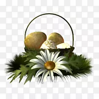 阿里巴巴切花花卉设计-复活节-空若网 阿里巴巴切花花卉设计-复活节-空若网