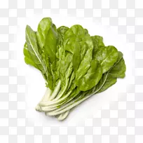 ݫ��԰�߲���ʳ��ϵ�߲�-������