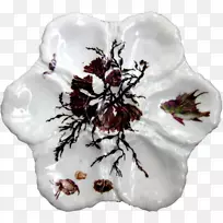 开花植物圣诞装饰品圣诞树-空若网 开花植物圣诞装饰品圣诞树-空若网