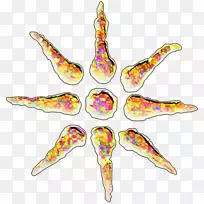 ���ڵ�����ס�������-������