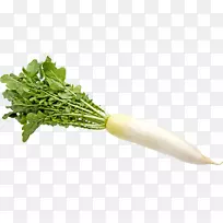 春绿叶菜,台康菜,萝卜-蔬菜-空若网 春绿叶菜,台康菜,萝卜-蔬菜-空若网