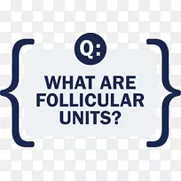 商标组织品牌产品字体-空若网 商标组织品牌产品字体-空若网