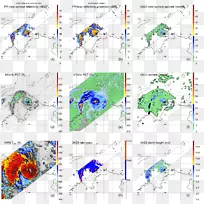 �ߵ�����-������