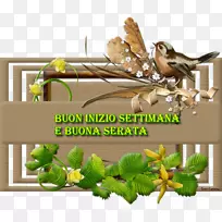 九月摄影博客昆虫-空若网 九月摄影博客昆虫-空若网