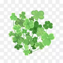 [ҽ]����Ҷ��-������