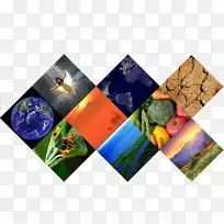 ������̬������ѧ���������-����-������