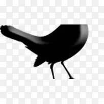 TweetDeck SeesmicTwill Facebook博客-空若网 TweetDeck SeesmicTwill Facebook博客-空若网