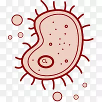 VSCO标志摄影移动应用程序-Android-空若网 VSCO标志摄影移动应用程序-Android-空若网