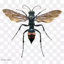 »Æ·ä·ä-¿ÕÈôÍø »Æ·ä·ä-¿ÕÈôÍø