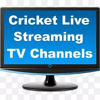 电脑显示器VGA连接器Liyama ProLite数字视觉界面电视机-空若网 电脑显示器VGA连接器Liyama ProLite数字视觉界面电视机-空若网