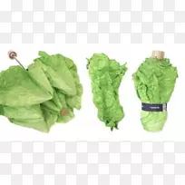 莴苣伞叶蔬菜生菜-空若网 莴苣伞叶蔬菜生菜-空若网