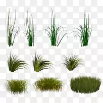 pngͼƬ�������������ͼ��PSD-������