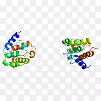 昆虫产品剪贴画线传粉器-空若网 昆虫产品剪贴画线传粉器-空若网