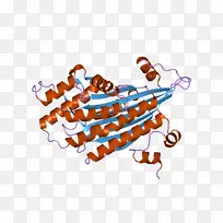 产品剪贴画橙色S.A.-空若网 产品剪贴画橙色S.A.-空若网