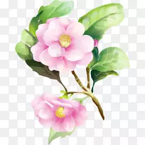 »¨»ÜË®²Ê»»¨»ÜÉè¼ÆË®²Ê»-¿ÕÈôÍø »¨»ÜË®²Ê»»¨»ÜÉè¼ÆË®²Ê»-¿ÕÈôÍø