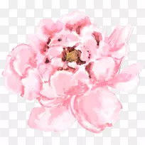 马来西亚花卉水彩画工艺-牡丹-空若网 马来西亚花卉水彩画工艺-牡丹-空若网