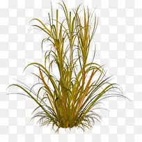 ������pngͼƬͼ��-������