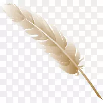 羽毛笔-空若网 羽毛笔-空若网