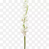 �л�������ƻ����׻�-������