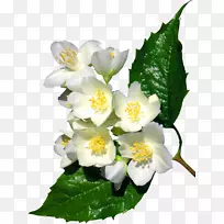 ���������������-�׻�-������