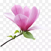 ������΢������-����-������