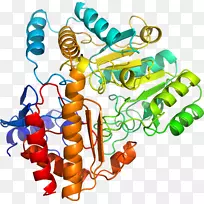 剪贴画有机体线身首饰-谷氨酸-5-半醛-空若网 剪贴画有机体线身首饰-谷氨酸-5-半醛-空若网