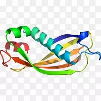服装饰品剪贴画系列时尚产品-空若网 服装饰品剪贴画系列时尚产品-空若网