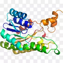 剪贴画有机体线身首饰-空若网 剪贴画有机体线身首饰-空若网