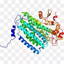 人体珠宝有机体珠宝首饰-空若网 人体珠宝有机体珠宝首饰-空若网