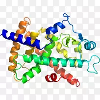 剪贴画核酸蛋白质结构氨基酸-空若网 剪贴画核酸蛋白质结构氨基酸-空若网