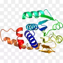 剪贴画有机体系列产品动物-空若网 剪贴画有机体系列产品动物-空若网