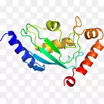 剪贴画有机体系列产品身饰-空若网 剪贴画有机体系列产品身饰-空若网