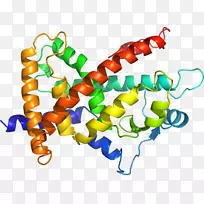 剪贴画有机体线身首饰-空若网 剪贴画有机体线身首饰-空若网