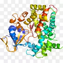 剪贴画有机体线身首饰-空若网 剪贴画有机体线身首饰-空若网