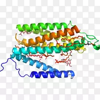 �������л�����������.ũҵ�°�-������