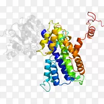 剪贴画有机体系列产品-空若网 剪贴画有机体系列产品-空若网