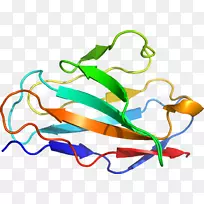 剪贴画线点产品有机体-空若网 剪贴画线点产品有机体-空若网