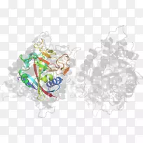 插图剪贴画产品树-空若网 插图剪贴画产品树-空若网