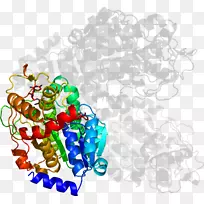 ��������������л���-������