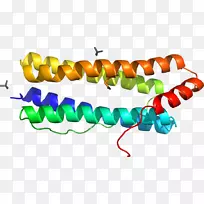 珠子剪贴画线身珠宝-空若网 珠子剪贴画线身珠宝-空若网