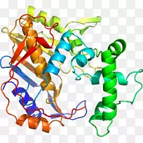 剪贴画有机体线动物-空若网 剪贴画有机体线动物-空若网